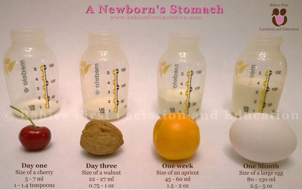 A Newborn's Stomach